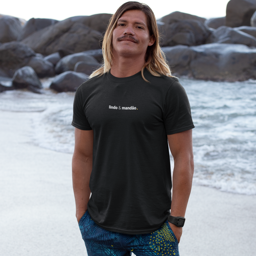 camiseta masculina lindo e mandão