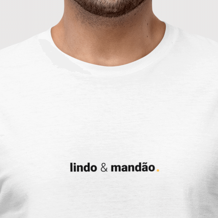 camiseta masculina lindo e mandão